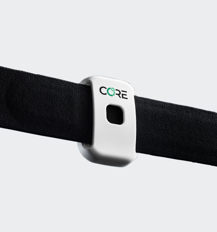 CORE 2 Thermal Sensor