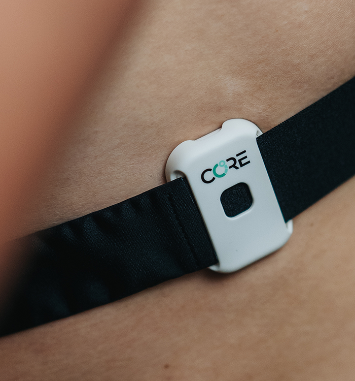 CORE 2 Thermal Sensor